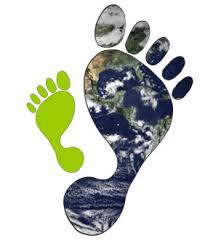 Geographical Footprint